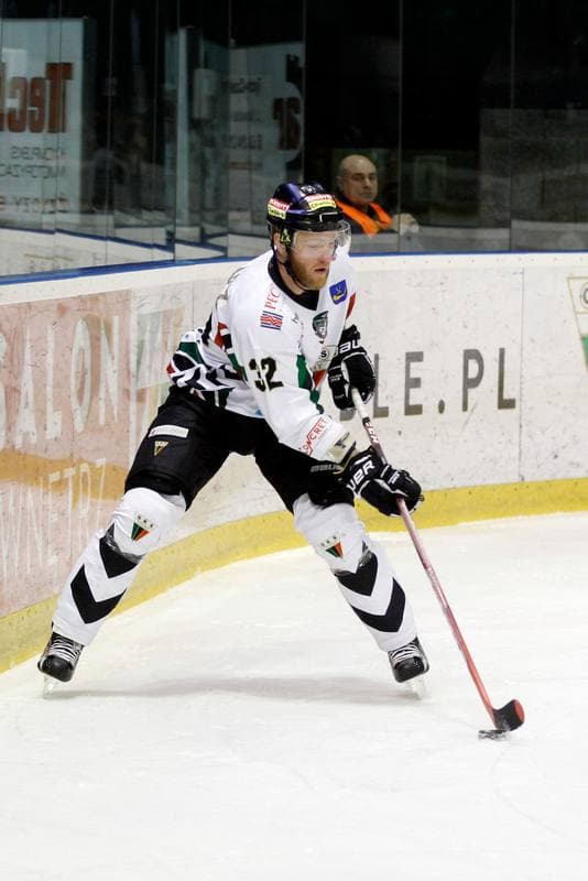 Ice Hockey. Polska Hokej Liga. GKS Tychy - Tempish Polonia Bytom. 22.01.2017