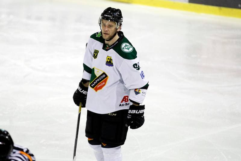 Ice Hockey. I Liga. Naprzod Janow - Zaglebie Sosnowiec. 22.01.2017