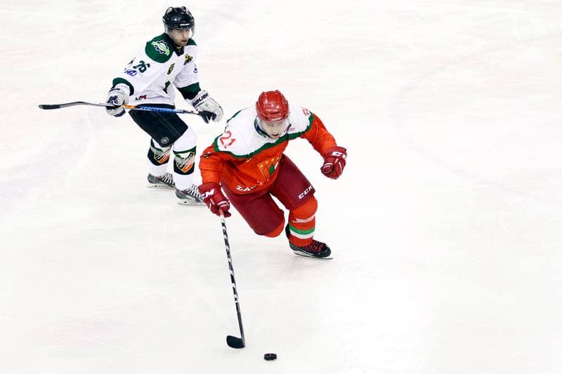 Ice Hockey. I Liga. Naprzod Janow - Zaglebie Sosnowiec. 22.01.2017