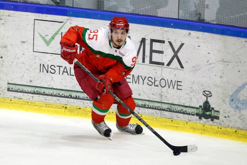 Ice Hockey. I Liga. Naprzod Janow - Zaglebie Sosnowiec. 22.01.2017