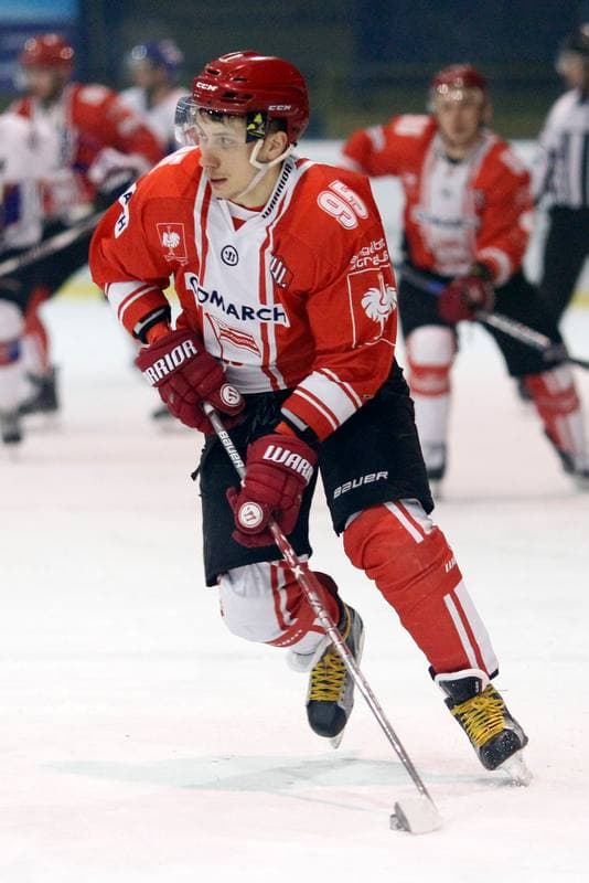Ice Hockey. PHL. Tempish Polonia Bytom - Comarch Cracovia. 27.01.2017