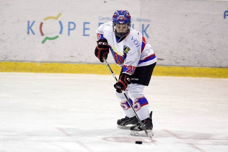 Ice Hockey. PLHK. Polonia Bytom - Atomowki Tychy. 27.01.2017