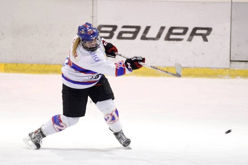 Ice Hockey. PLHK. Polonia Bytom - Atomowki Tychy. 27.01.2017