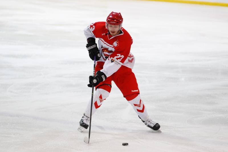 Ice Hockey. Euro Ice Hockey Challenge. Poland - Slovenia. 09.02.2017
