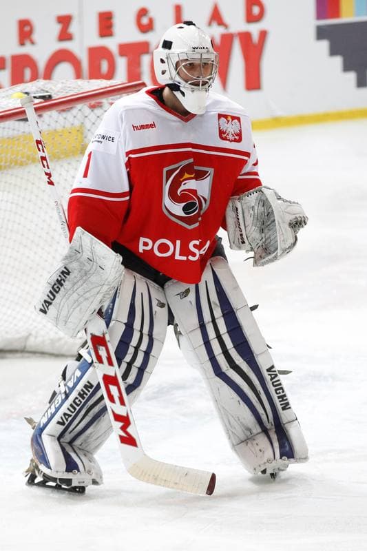 Ice Hockey. Euro Ice Hockey Challenge. Poland - Ukraine. 10.02.2017