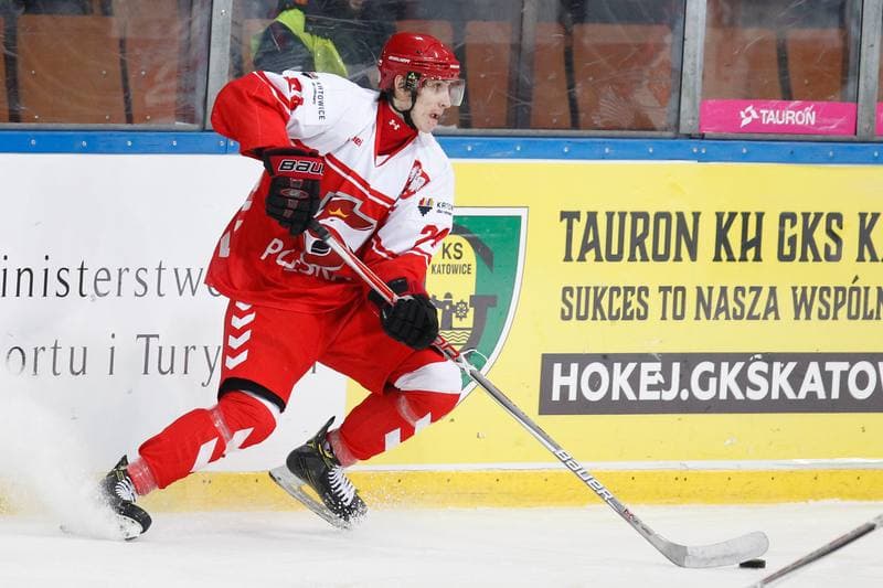 Ice Hockey. Euro Ice Hockey Challenge. Poland - Ukraine. 10.02.2017