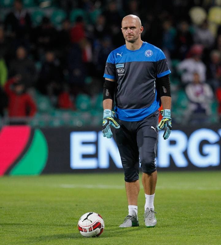 Football. UEFA Euro Qualifiers. Slovakia - Ukraine. 08.09.2015
