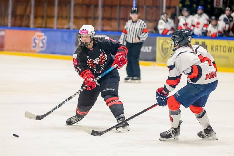 Ice Hockey. EWHL. Tauron Metropolia Silesia - Aisulu Almaty. 26.11.2023