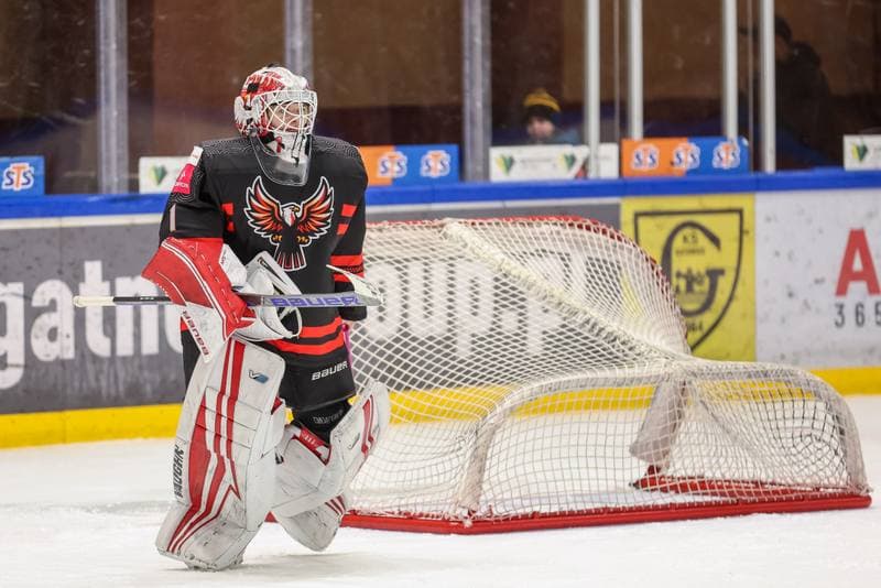 Ice Hockey. EWHL. Tauron Metropolia Silesia - Aisulu Almaty. 26.11.2023