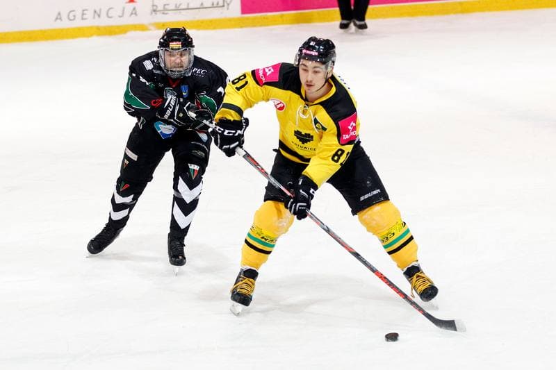Ice Hockey. Tauron Hokej Liga. Tauron KH GKS Katowice - GKS Tychy. 25.02.2017