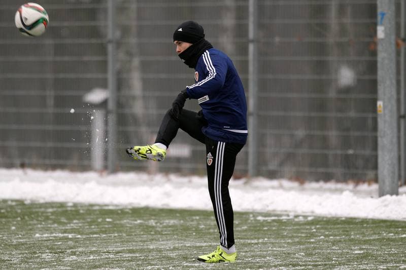 Football. Piast Gliwice. Training. 07.01.2016