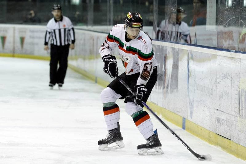 Ice Hockey. Polska Hokej Liga. GKS Tychy - Ciarko STS Sanok. 15.01.2016