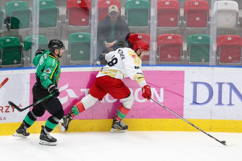 Ice Hockey. Tauron Hokej Liga. Zaglebie Sosnowiec - JKH GKS Jastrzebie. 05.01.2024