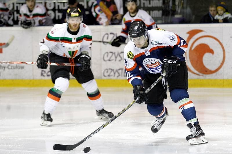 Ice Hockey. Polska Hokej Liga. GKS Tychy - Ciarko STS Sanok. 15.01.2016