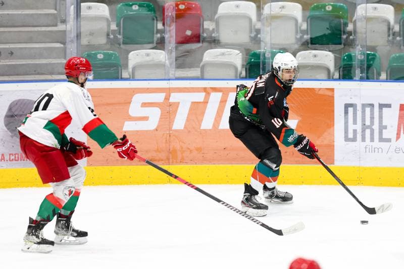 Ice Hockey. MHL. Zaglebie Sosnowiec - Naprzod Janow Katowice. 06.01.2024