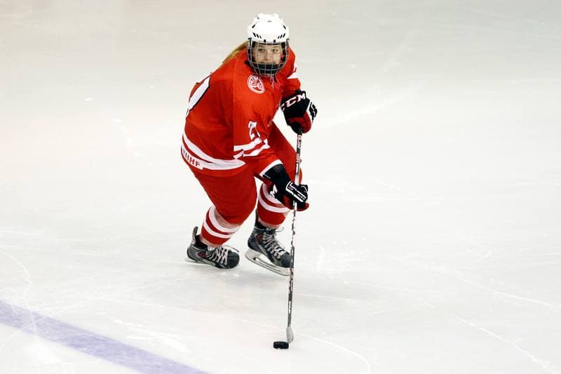 Ice Hockey. Women's Friendly Match. Poland - Ontario. 04.04.2017