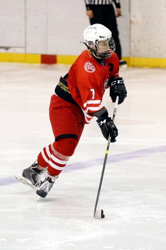 Ice Hockey. Women's Friendly Match. Poland - Ontario. 04.04.2017