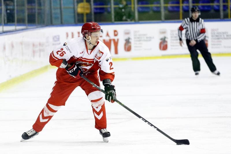 Ice Hockey. International Friendly Match. Poland - Slovakia B. 07.04.2017