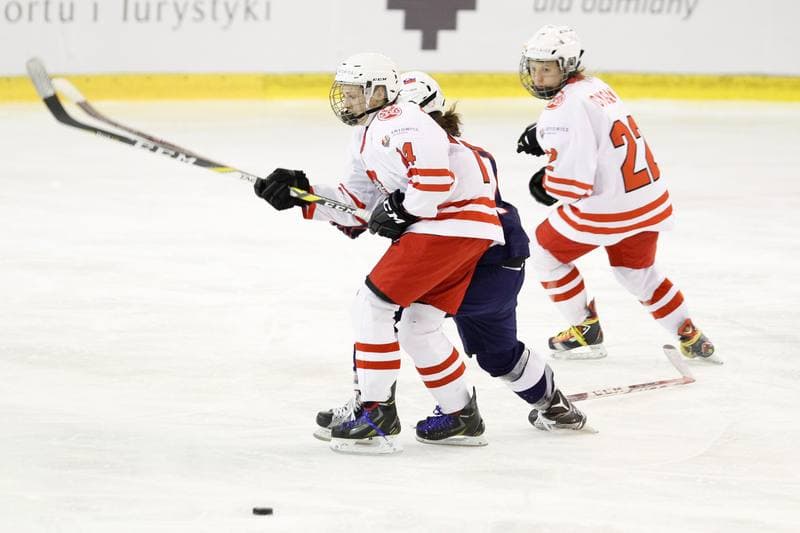 Ice Hockey. Women's World Championship. Poland - Slovakia. 08.04.2017