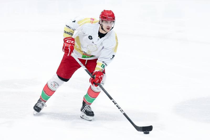 Ice Hockey. Tauron Hokej Liga. Zaglebie Sosnowiec - KH Energa Torun. 12.01.2024