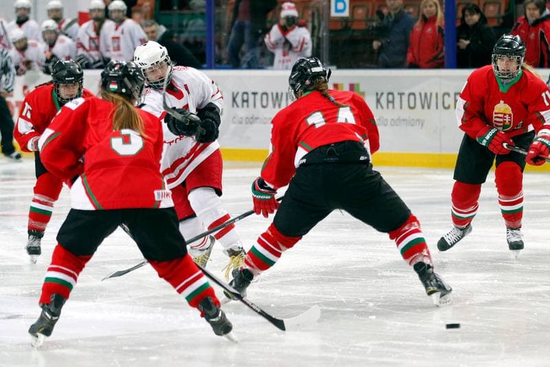 Ice Hockey. Women's Friendly Match. Poland - Hungary. 05.02.2016