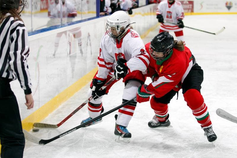 Ice Hockey. Women's Friendly Match. Poland - Hungary. 05.02.2016