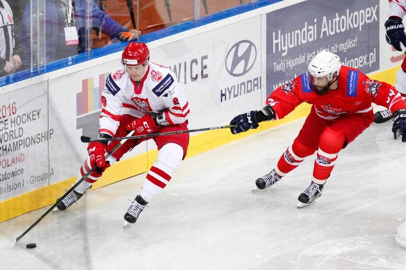 Ice Hockey. Friendly Match. Poland - Stars of PHL. 06.02.2016