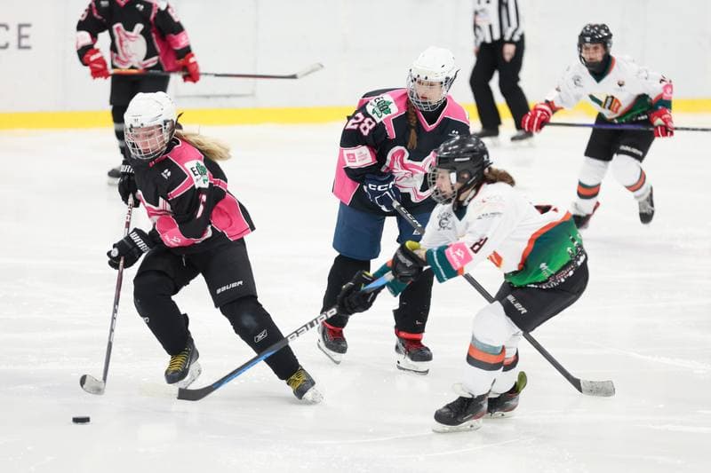 Ice Hockey. Tauron Liga Kobiet. Kojotki Naprzod Janow - Kozice Poznan. 20.01.2024