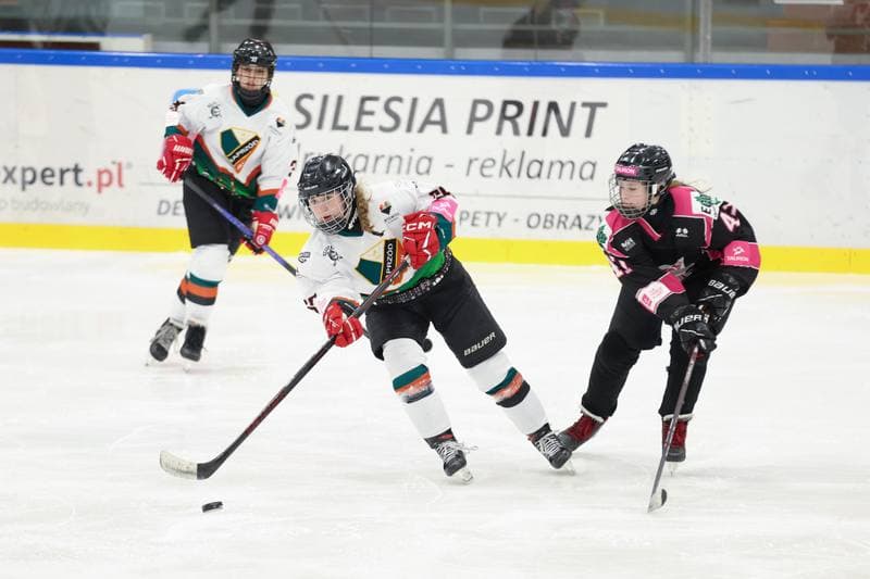 Ice Hockey. Tauron Liga Kobiet. Kojotki Naprzod Janow - Kozice Poznan. 20.01.2024