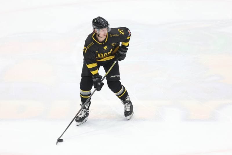 Ice Hockey. Tauron Hokej Liga. Zaglebie Sosnowiec - GKS Katowice. 21.01.2024