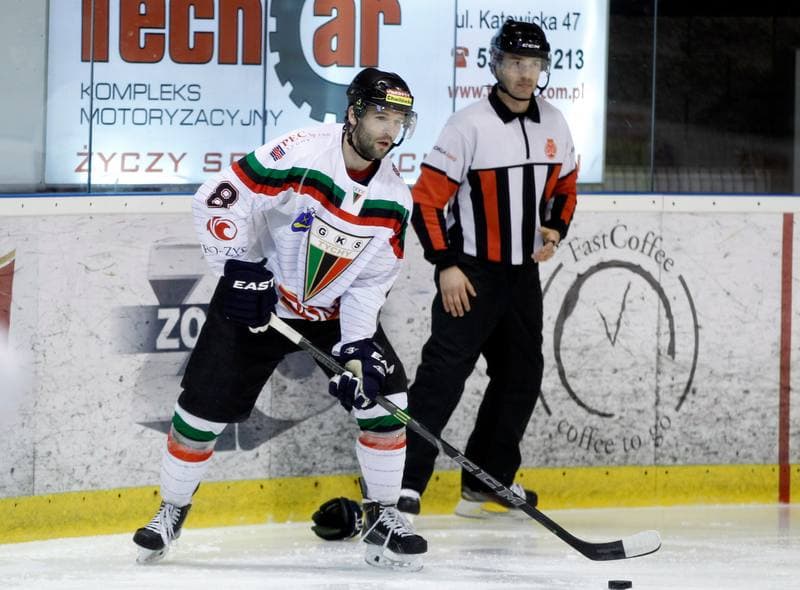 Ice Hockey. Polska Hokej Liga. GKS Tychy - Tatryski Podhale Nowy Targ. 29.02.2016