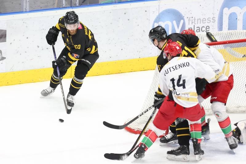Ice Hockey. Tauron Hokej Liga. Zaglebie Sosnowiec - GKS Katowice. 21.01.2024