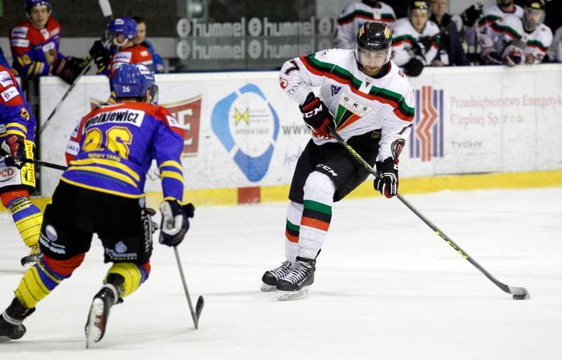Ice Hockey. Polska Hokej Liga. GKS Tychy - Tatryski Podhale Nowy Targ. 29.02.2016