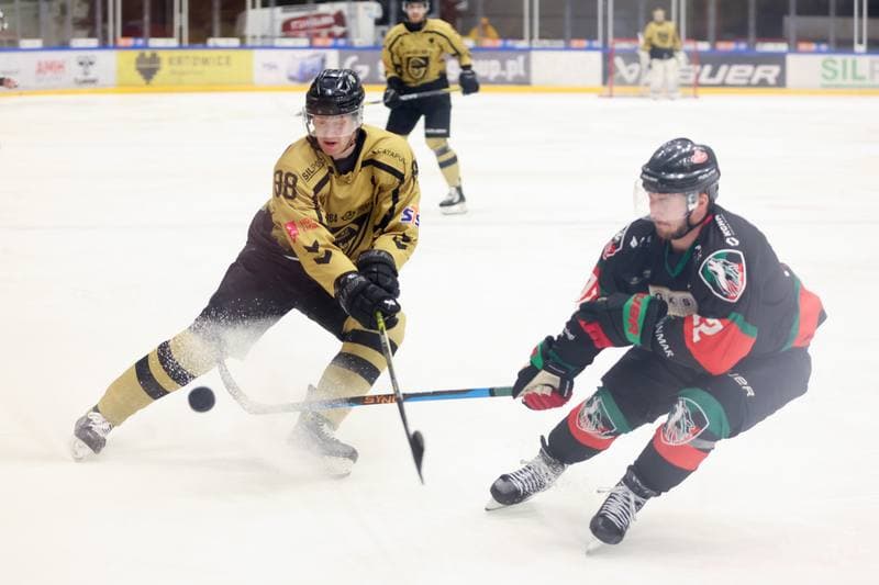 Ice Hockey. Tauron Hokej Liga. GKS Katowice - GKS Tychy. 28.01.2024