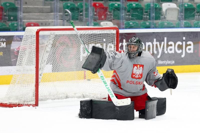 Ice Hockey. Poland national team. Training. 03.02.2024