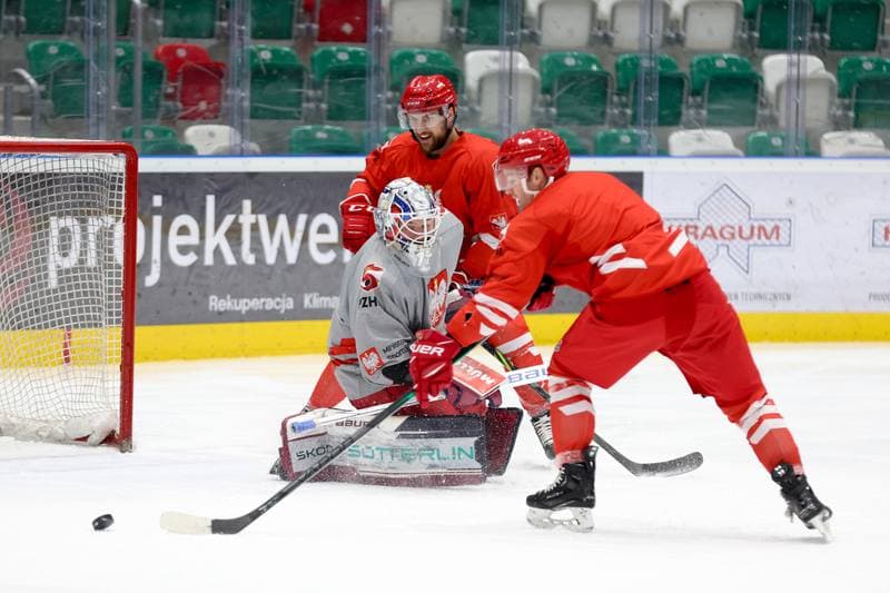 Ice Hockey. Poland national team. Training. 03.02.2024