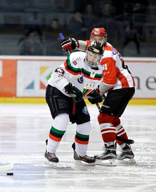 Ice Hockey. Polish Hockey League. GKS Tychy - Comarch Cracovia. 18.03.2016