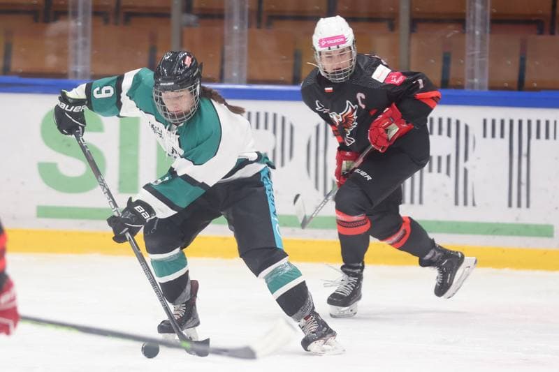 Ice Hockey. EWHL. Tauron Metropolia Silesia - KEHV Lakers. 04.02.2024