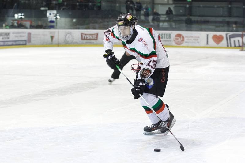 Ice Hockey. Polish Hockey League. GKS Tychy - Comarch Cracovia. 18.03.2016