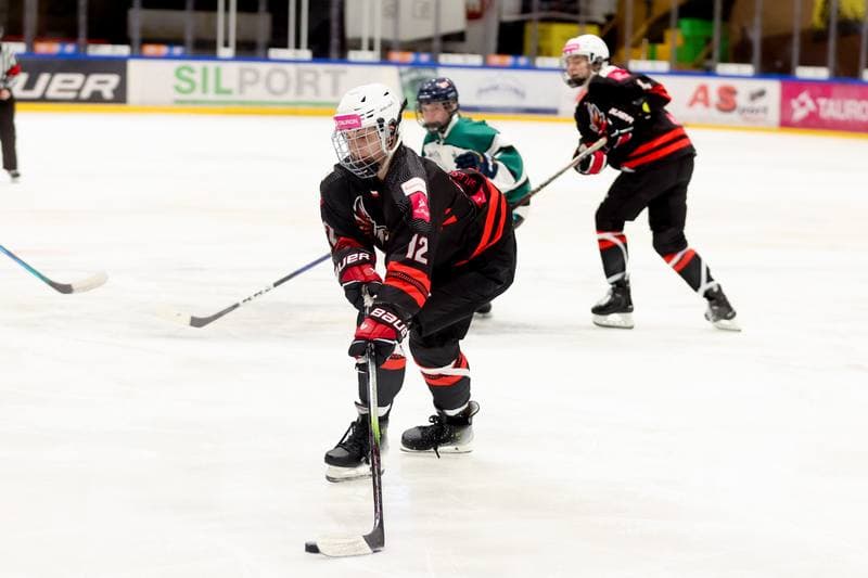 Ice Hockey. EWHL. Tauron Metropolia Silesia - KEHV Lakers. 04.02.2024