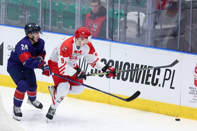 Ice Hockey. Friendly Match. Poland - South Korea. 05.02.2024