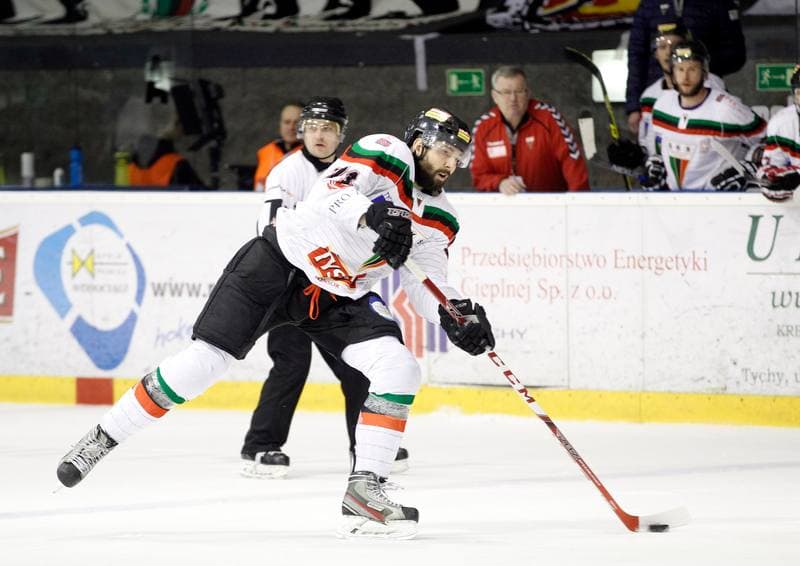 Ice Hockey. Polish Hockey League. GKS Tychy - Comarch Cracovia. 24.03.2016