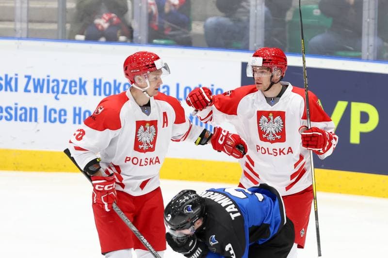 Ice Hockey. Olympic Qualification. Poland - Estonia. 08.02.2024
