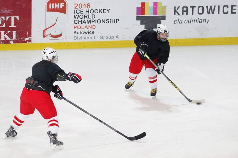 Ice Hockey. Poland Women's National Team. Training. 30.03.2016