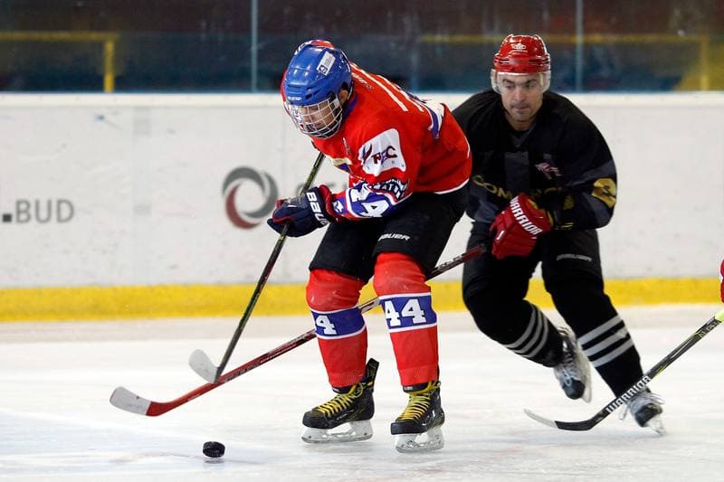 Ice Hockey. Sparing. Polonia Bytom - Comarch Cracovia. 15.08.2017