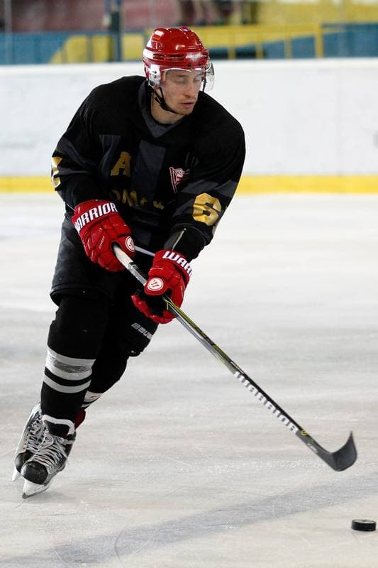 Ice Hockey. Sparing. Polonia Bytom - Comarch Cracovia. 15.08.2017
