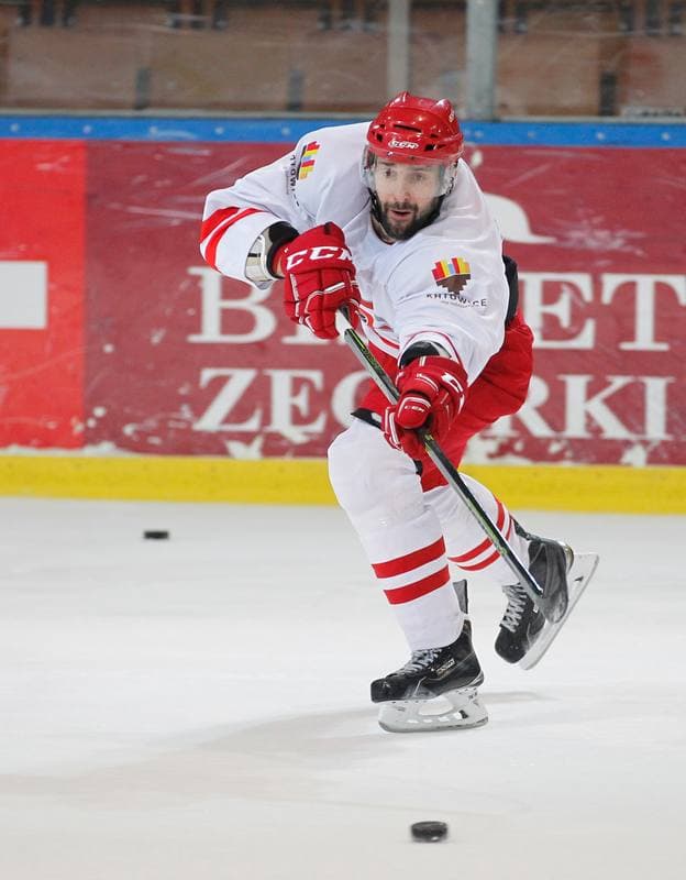Ice Hockey. Poland national team. Training. 13.04.2016