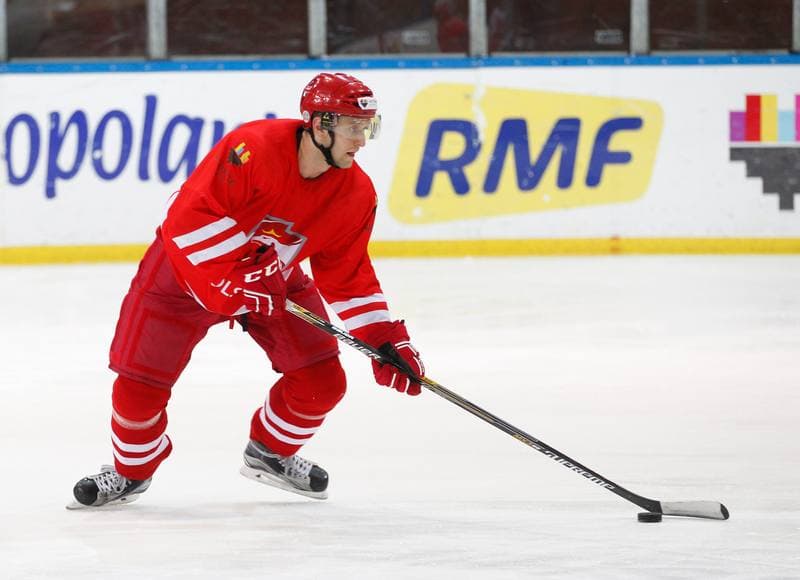 Ice Hockey. Poland national team. Training. 13.04.2016