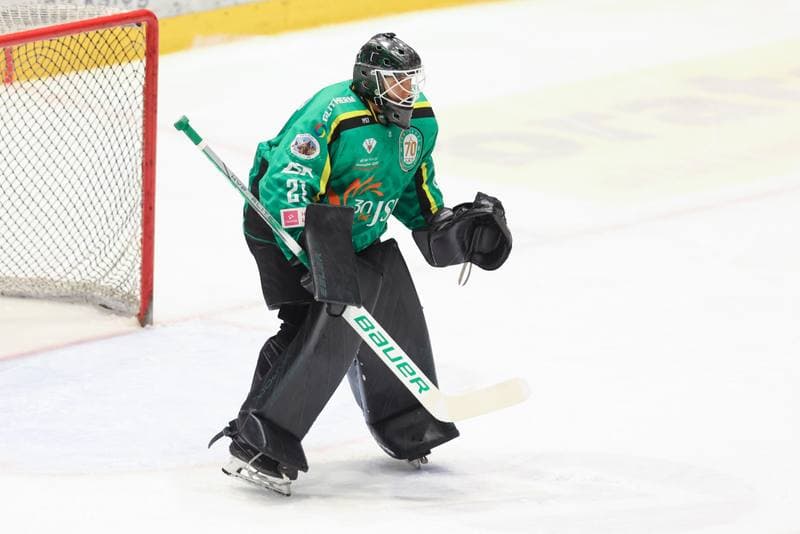 Ice Hockey. Tauron Hokej Liga. Re-Plast Unia Oswiecim - JKH GKS Jastrzebie. 18.02.2024