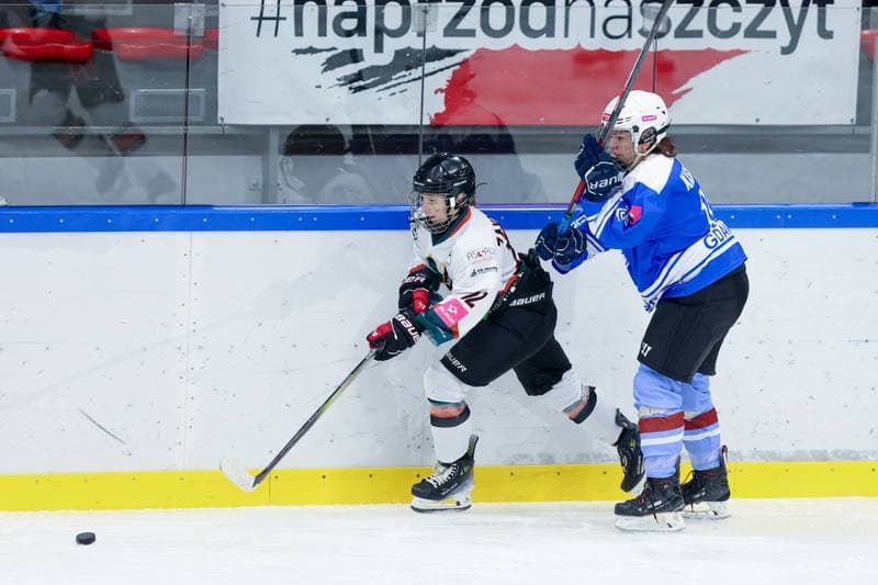 Ice Hockey. Tauron Liga. Kojotki Naprzod Janow - Stoczniowiec Gdansk. 24.02.2024